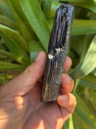 Turmalina Negra Mineral