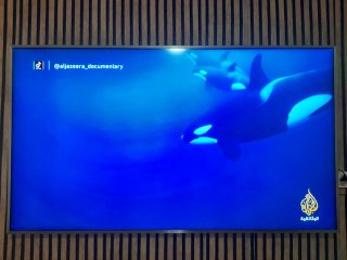 TV Samsung 65 Smart TV 4K
