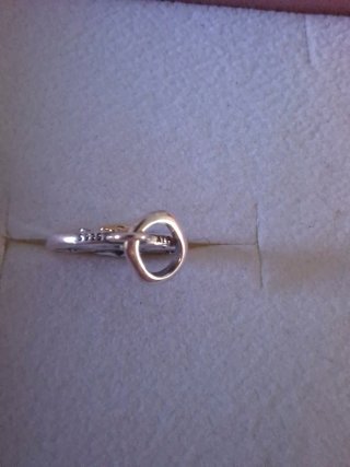 Charm Medallion Ariete Pandora