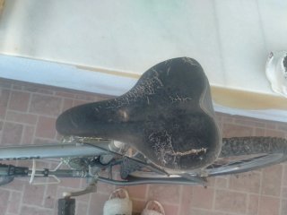 Bicicleta Dawes Special Edition