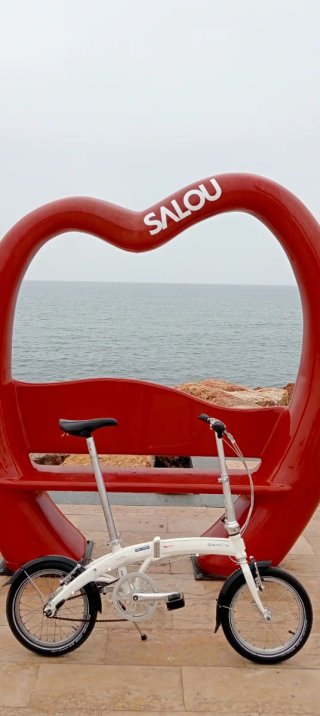 Bicicleta Plegable Dahon Curve D3 16