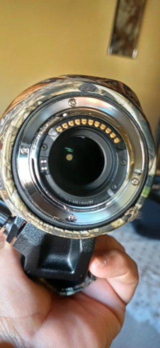Olympus 100-400 II