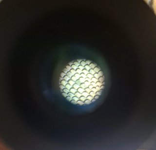 Binocular Telémetro Láser Vectronix Vector