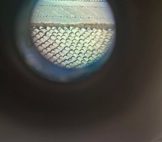 Binocular Telémetro Láser Vectronix Vector