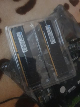 Placa Base LGA1150