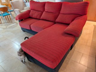 Sofa. Chaise longue.