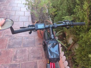 Bicicleta Eléctrica Wolfbike