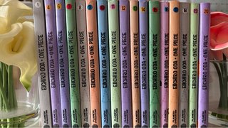 Lote 17 tomos One Piece - Eiichiro Oda