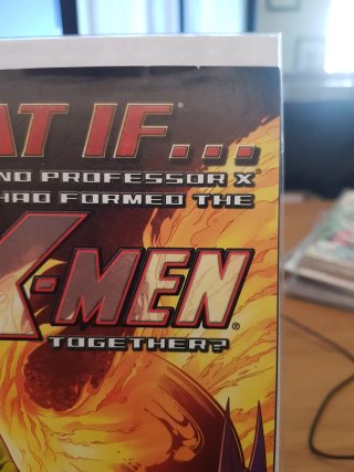 What If Magneto Professor X X-Men Marvel 2005