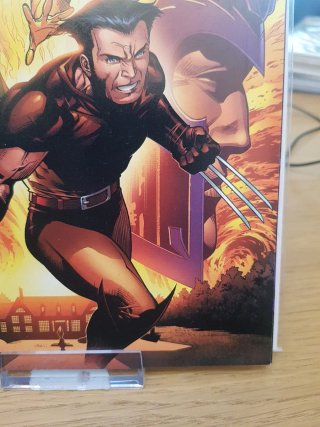 What If Magneto Professor X X-Men Marvel 2005