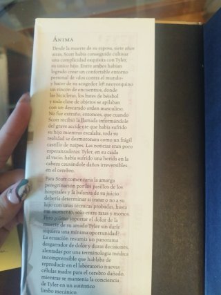 Ánima