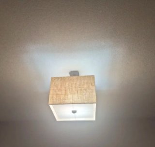 Lámpara de Techo para Salón
