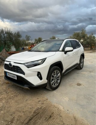 Toyota Rav 4 (luxury)