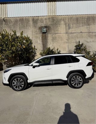Toyota Rav 4 (luxury)