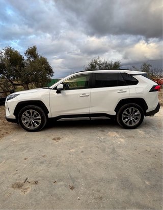 Toyota Rav 4 (luxury)