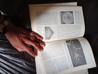 Libro sobre el imperio maya publicado en 1929