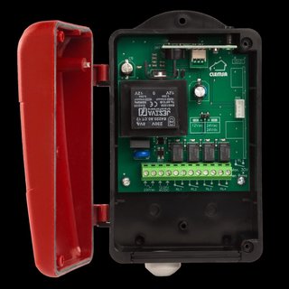 Receptor Mutan Clemsa