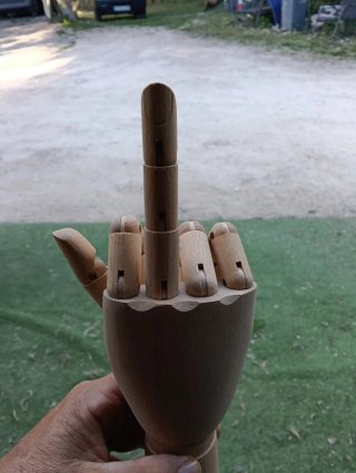 Mano Articulada de Madera