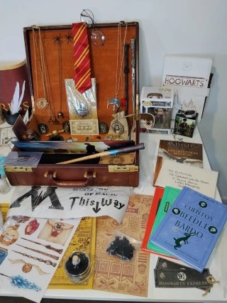 Set de Colección Harry Potter