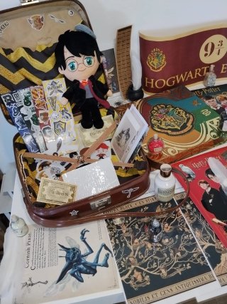 Set de Colección Harry Potter