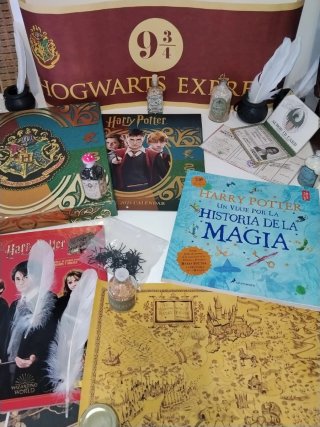Set de Colección Harry Potter