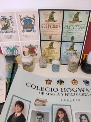Set de Colección Harry Potter