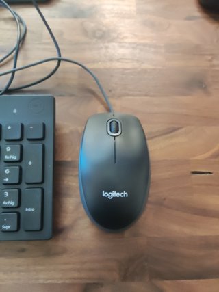 Teclado DELL KB216 + Raton Logitech B100