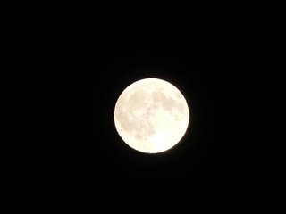 Cámara Panasonic Lumix DMC-FZ200