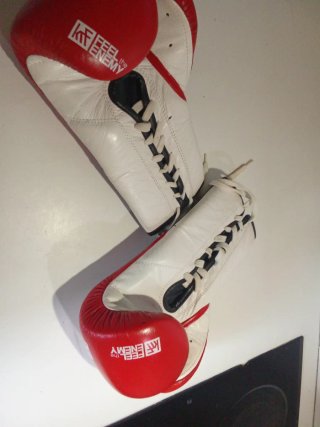 Guantes de boxeo The Enemy rojos