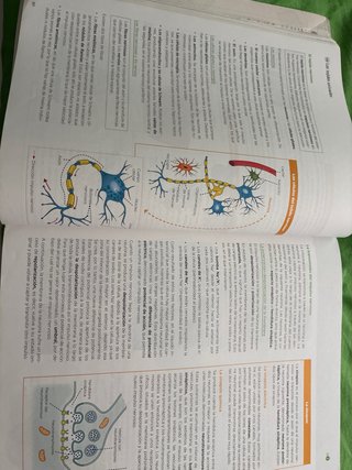 Biología, Geología y Ciencias Ambientales 1 Bac...