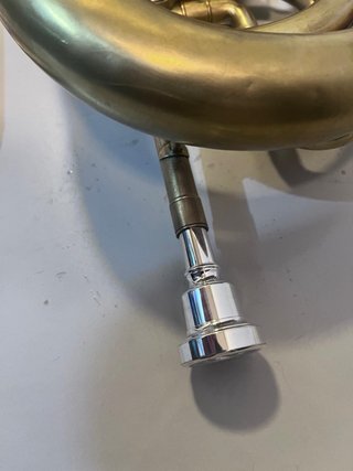 Fliscorno Bajo dorado.