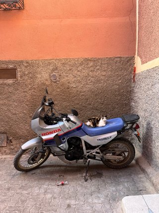 Honda Transalp XL 600 V (1987)