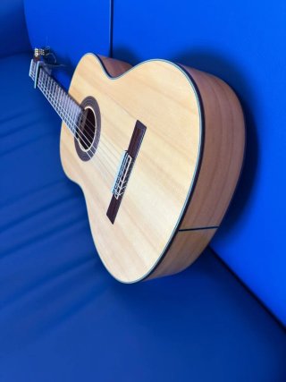 Guitarra Martínez MFG-AS