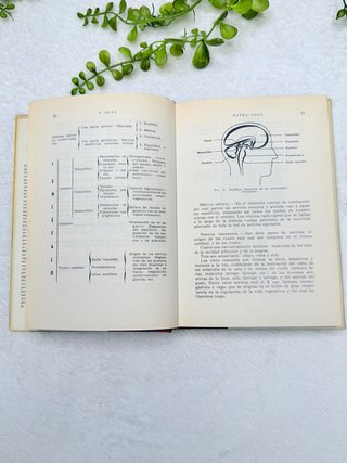 Hatha Yoga Antonio Blay – edición 1969