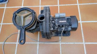 Bomba de piscina 220V 0,5 HP