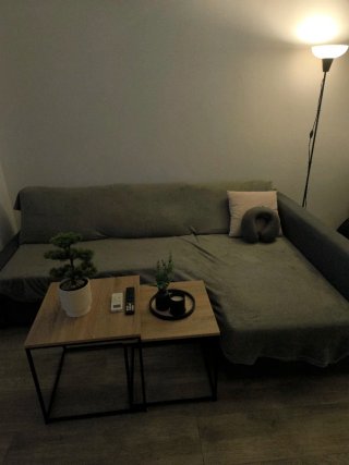 Sofá Cama IKEA Gris