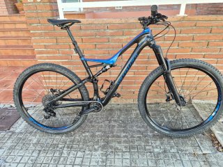 Specialized Stumpjumper FSR Carbono 29"