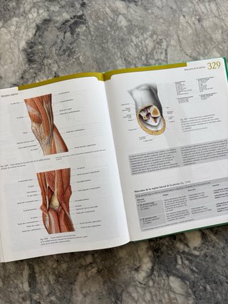 Atlas de Anatomía Humana Sobotta – Tomo 2