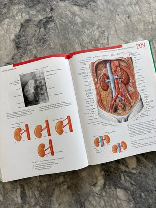 Atlas de Anatomía Humana Sobotta – Tomo 2