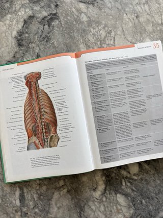Atlas de Anatomía Humana Sobotta – Tomo 2