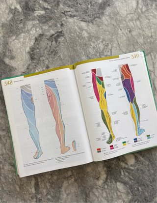 Atlas de Anatomía Humana Sobotta – Tomo 2