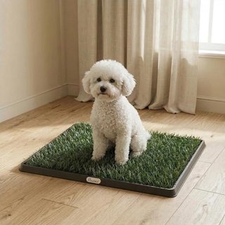 Inodoro Perros Césped Artificial Bandeja Drenaje