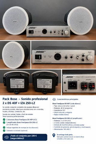 Pack Bose: 2 Altavoces DS 40F + Etapa IZA 250-LZ