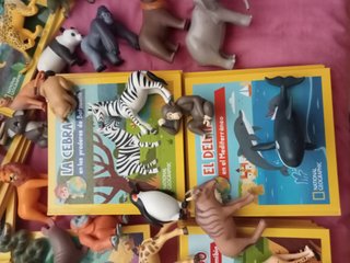 Colecion libros National Geographic