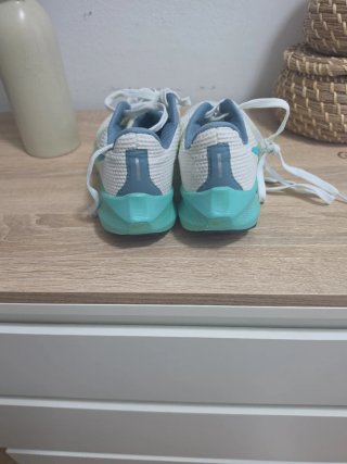 Nike Pegasus 40