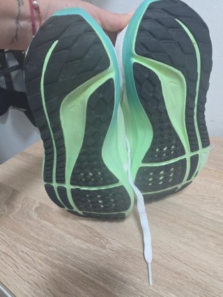 Nike Pegasus 40