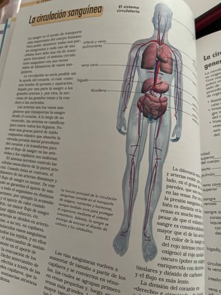 Libro cuerpo humano infantil