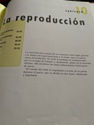 Libro cuerpo humano infantil