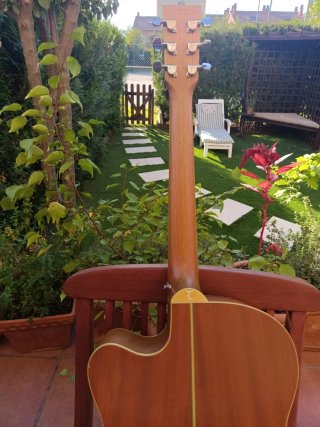 Guitarra Acústica Tanglewood