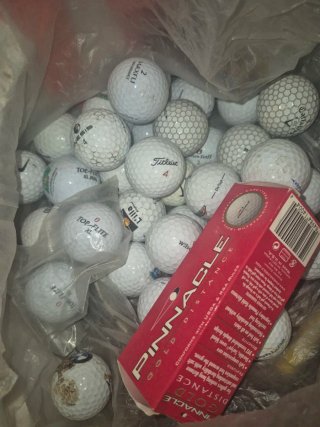 Zapatos de golf Dunlop Talla 45.5